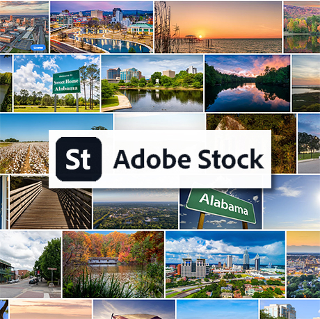 Adobe stock самые популярные